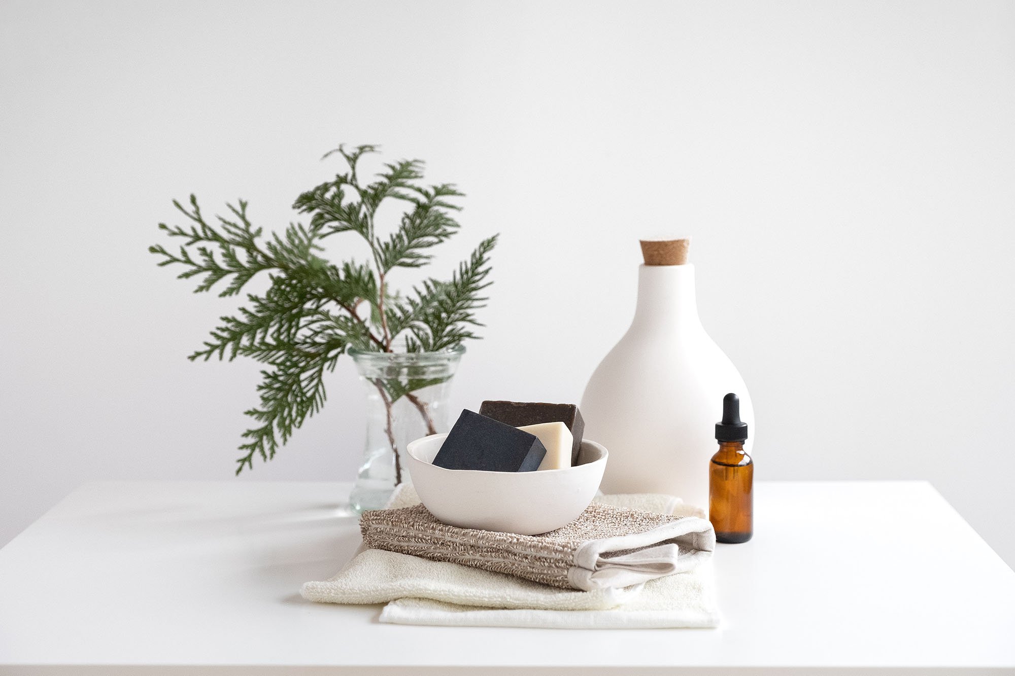 fern, towels, soaps, vase and oil dropper on white table